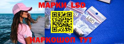 молекула духа Пенза