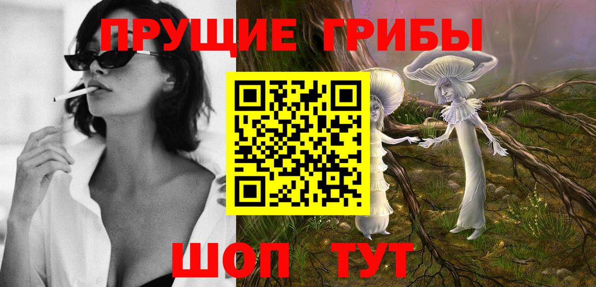 Псилоцибиновые грибы GOLDEN TEACHER Новоуральск